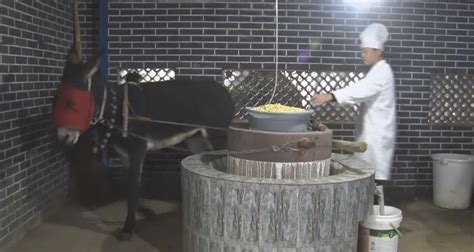 建水古城烤豆腐：六代传承人的豆腐作坊，上过《舌尖上的中国》_板井_西门_井水