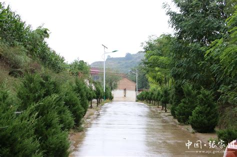 天水市张家川县：“小山村里的大变化”