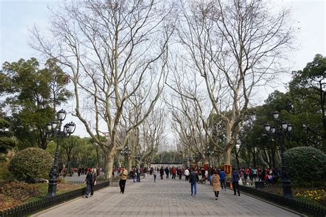 2023鲁迅公园游玩攻略,鲁迅公园是上海人气最旺的市...【去哪儿攻略】