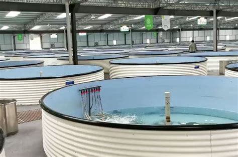 养殖：工厂化养鱼的关键技术和特点