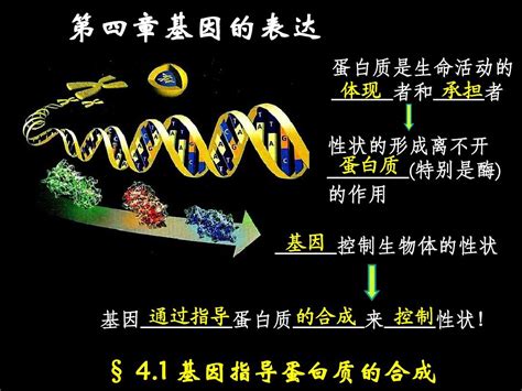 植物DNA-free基因编辑服务报价/价格 -北京安必奇生物科技有限公司 - 实验技术服务- 生物在线 Lab-on-Web
