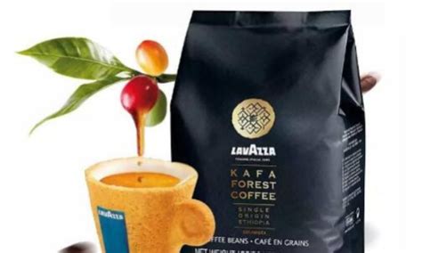 十大最好喝的咖啡豆,世界十大顶级咖啡豆排行榜 - 品尚生活网