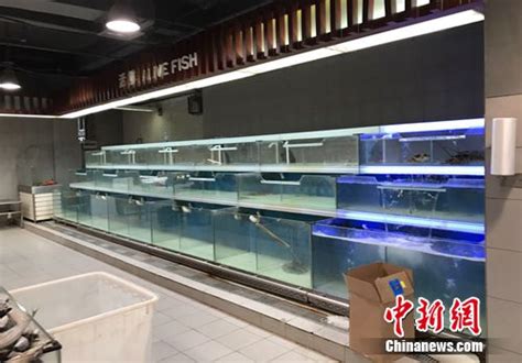 独家揭秘北京超市不卖活鱼的“前因后果”_联商网