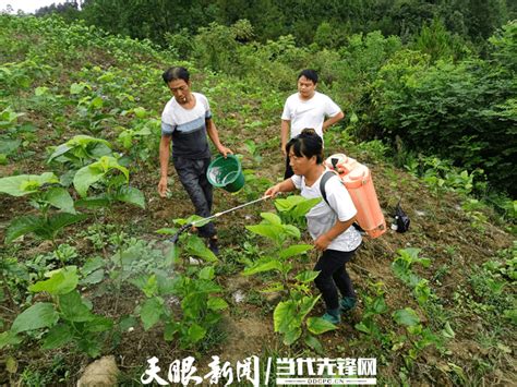 凤冈县：培养懂技术、会经营的新型农民