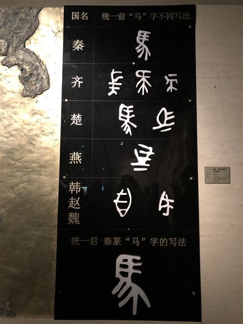 中国文字博物馆：从一片甲骨读中国文字绵延起伏|甲骨文_新浪新闻