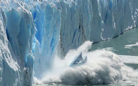 北极熊“无路可走”！全球变暖致北极海冰骤减，气候变化敲响警钟
