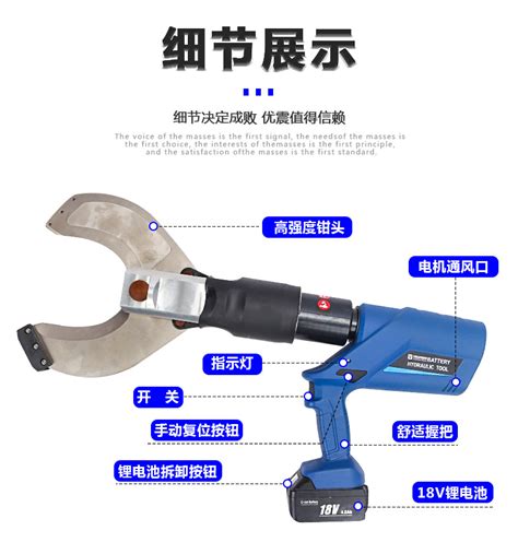 美洲野牛 的图像结果