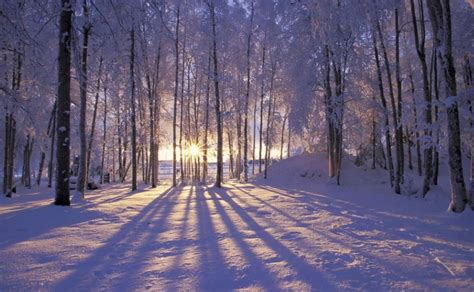 雪的句子短句唯美 感受雪景的心情短语 - 天奇生活