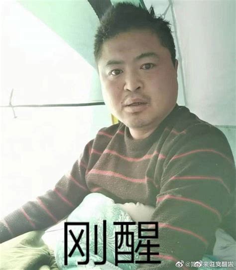 龙丽丽表情包图片
