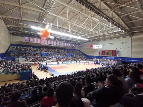 2022华润深圳湾体育中心玩乐攻略,深圳湾体育中心在早几年就已...【去哪儿攻略】