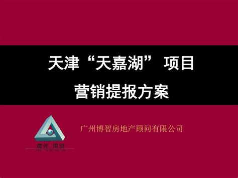 天津新技术产业园区华苑软件园营销策划方案Word模板下载_编号lgdkpgeq_熊猫办公