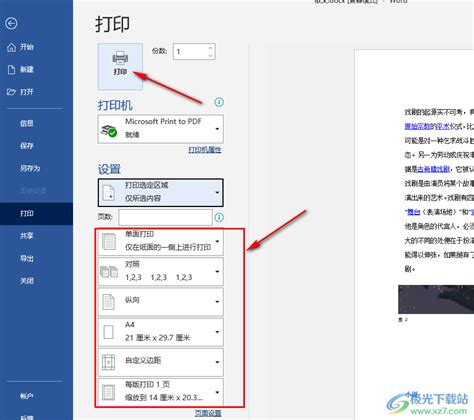 Word怎么设置打印指定内容？-Word只打印选中的文字的方法 - 极光下载站