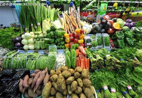 商铺招租-(出租) 新农贸市场招商：【蔬果、水产、肉类、粮油、早点等】