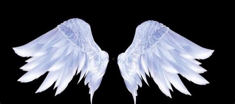 12星座代表水晶翅膀(十二星座专属翅膀盘点)-风水人