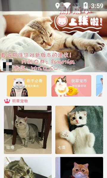 猫咪社区app下载地址-猫咪社区手机最新版1.0.28 官方安卓版-东坡下载