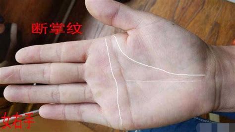 断掌手相图解大全图片