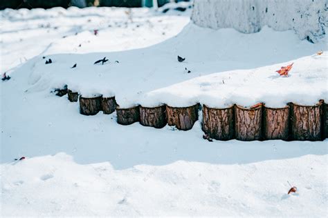 冬天户外树下地面的积雪高清摄影大图-千库网