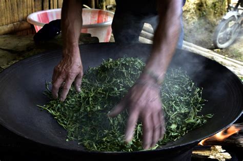 中国普洱茶第一股上市！-中国普洱批发网