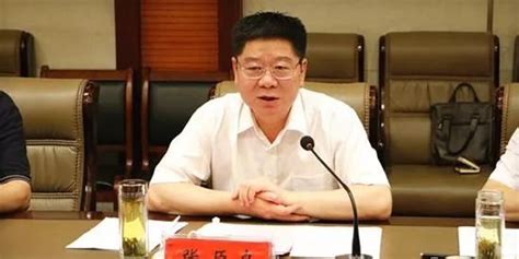 河北邯郸原县委书记被捕 被查45天前其接任者落马_手机新浪网