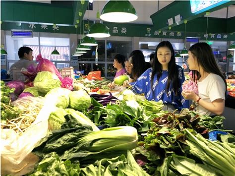 广州日报数字报-CPI受目前菜价肉价上涨影响有限