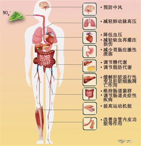 HRA-惠斯安普-专注于疾病的早期筛查和健康风险评估(官方品牌) - 体检设备_惠斯安普-健康风险评估系统