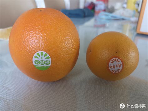 《弹力果冻》星橙特点分析 星橙前期发展方法_九游手机游戏