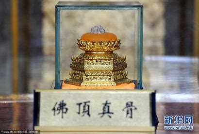 法门寺舍利子图片