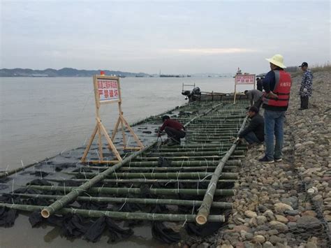 顺利实施长江下游东北水道人工鱼巢制作及布设工程-长江航运总医院