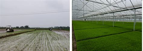 90后女农机手有技术有格局 成立农机联合社服务1800农户-广东省农业农村厅网站