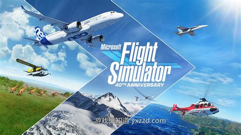 微软模拟飞行2020各个版本有什么区别？ - 知乎