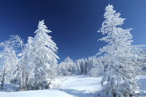 自然唯美的雪景壁纸大全43123_冬雪系列_风景风光类_图库壁纸_68Design