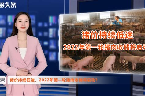 猪价“托底信号”来了！2022年第一轮猪肉收储将启动？猪价会涨？_凤凰网视频_凤凰网
