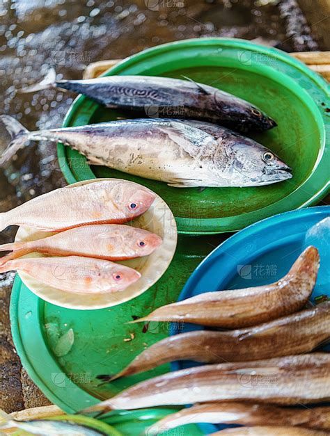 在越南的街头市场卖鱼