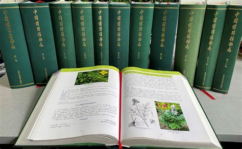 药用植物-农百科
