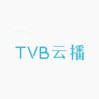 tvb云播港剧网-全网最好的蓝光港剧网站-禾坡网