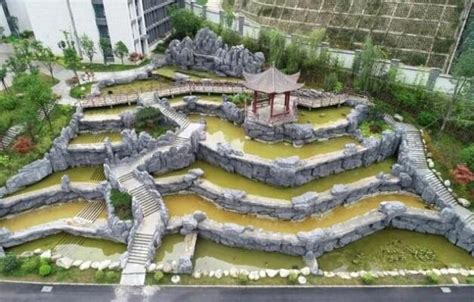 深圳中学初中部拆除扩建工程项目顺利通过竣工验收