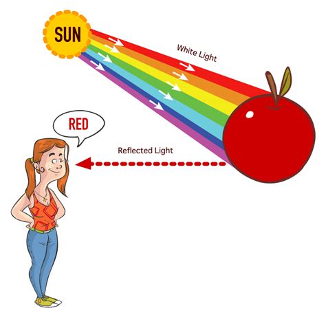 Section 3: Reflection and Refraction of Light | Nitty Gritty Science