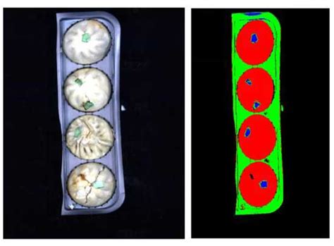 基于高光谱成像技术的包子在线检测研究_四川双利合谱科技有限公司-全系列高光谱解决方案