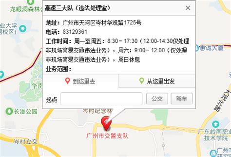 广州机动车违章查询_直通网上车管所