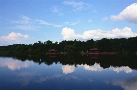 佛山：航拍佛山白鹭湖 碧水环绕生态美 - 关注森林