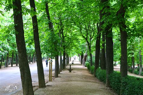 熊黛林晨跑图片
