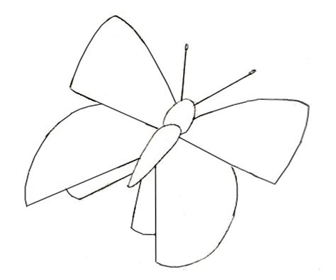 教你如何画一只真实的蝴蝶-普画网