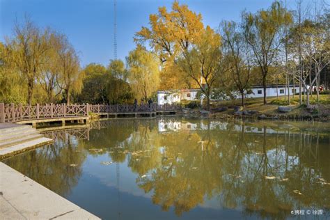 2021古银杏树公园-旅游攻略-门票-地址-问答-游记点评，上海旅游旅游景点推荐-去哪儿攻略