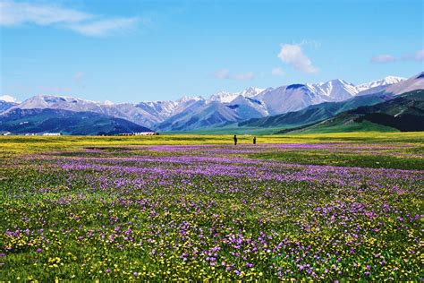 大美新疆，美在天山---2017年5月伊犁7日深度游记-旅游攻略-游记-去哪儿攻略