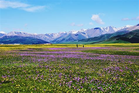 霍城福寿山,福寿山,伊犁福寿山_大山谷图库