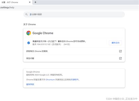 Google Chrome 检查更新时出错：无法启动更新检查（错误代码为 4: 0x80070005 -- system level）-CSDN博客