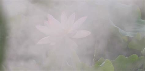 【雾里看花摄影图片】雾凇岛风光摄影_山里人_太平洋电脑网摄影部落