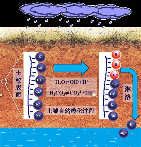 土壤微生物包括哪些