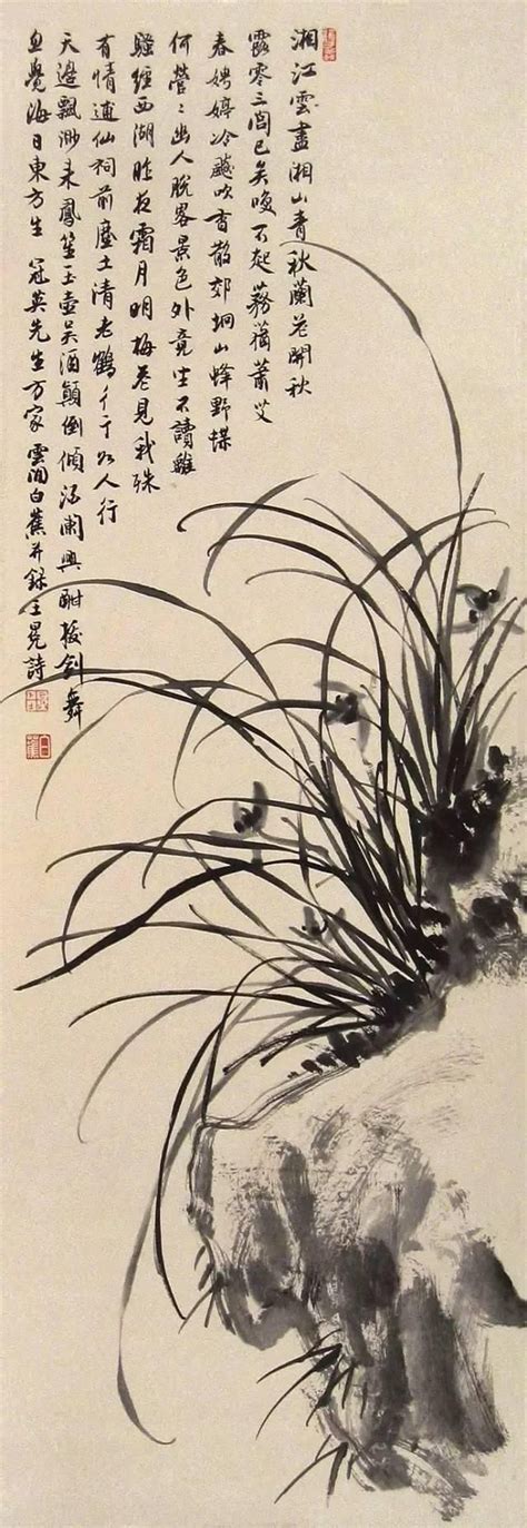 诗词——兰花，描写“兰花”的绝美诗句的超全合集