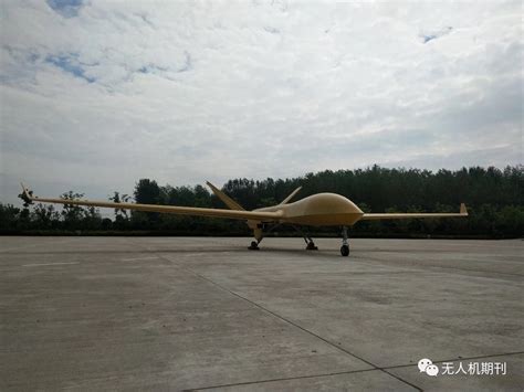 中国新型大尺寸无人机首飞 可自主起降